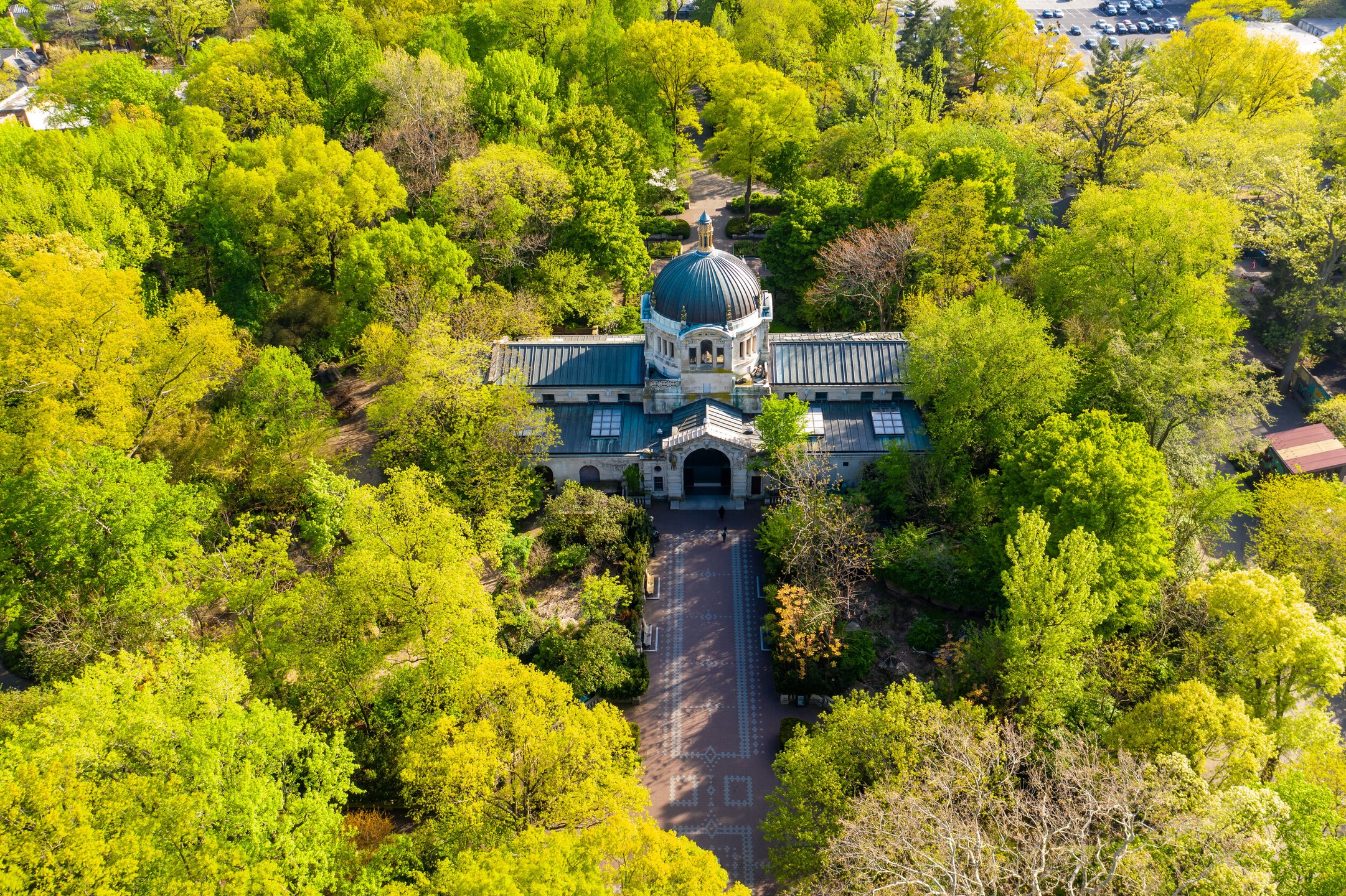 Bronx Zoo Photos